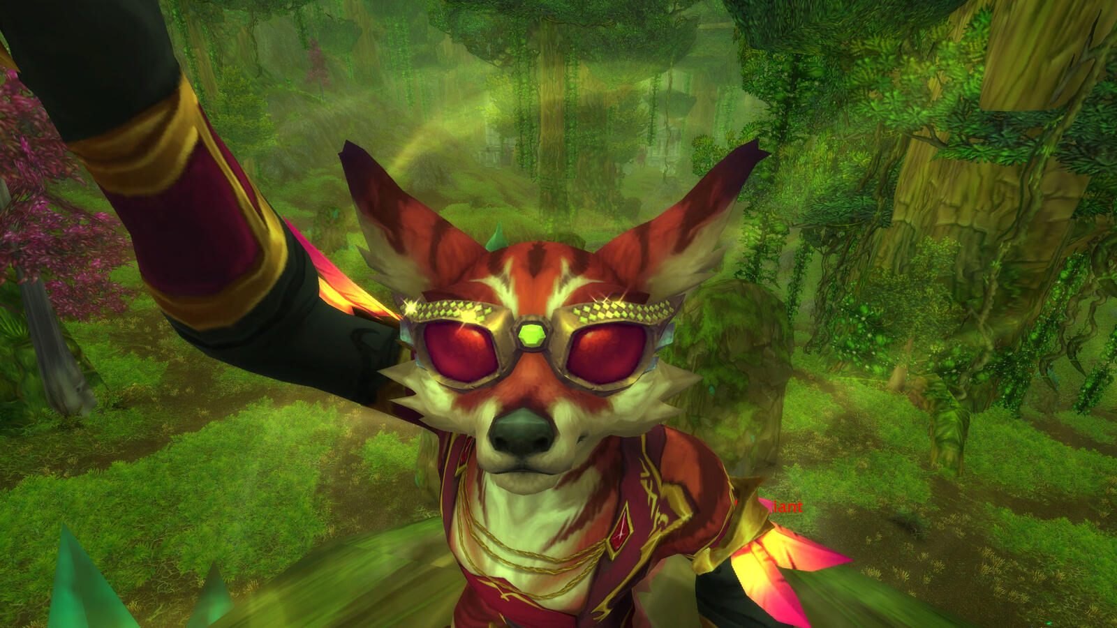 Welcome to the jungle!