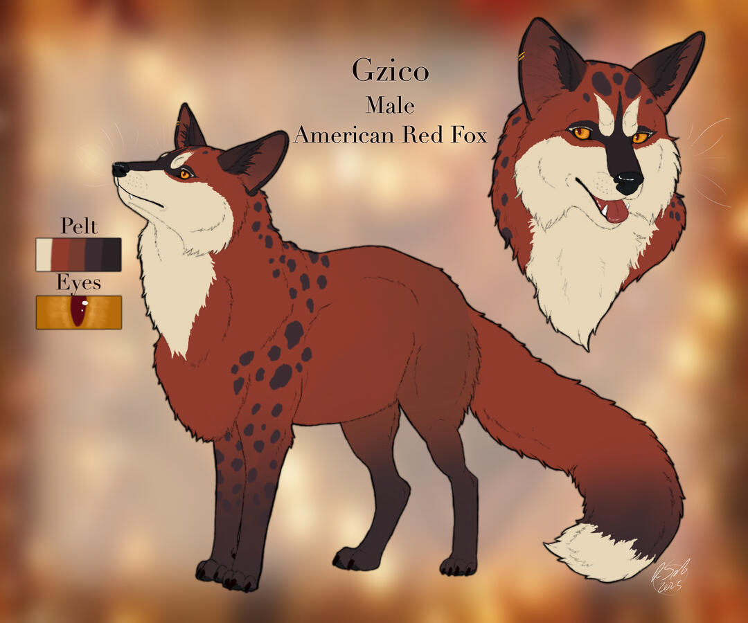 Red Fox Reference by unibou.bsky.social