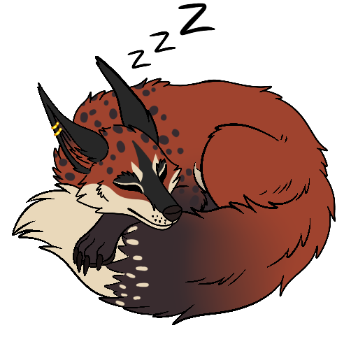 Sleep